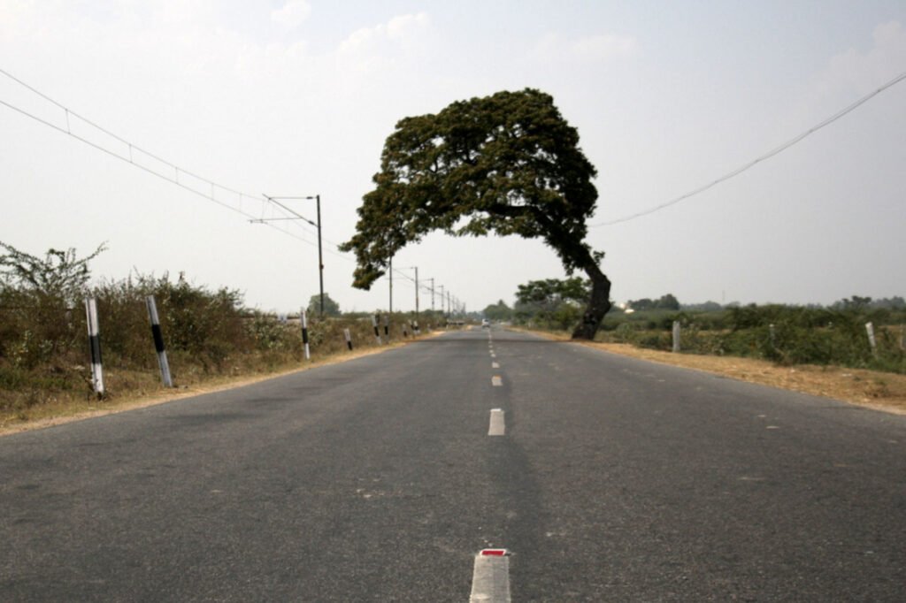 Tindivanam--kanchipuram-state-highways