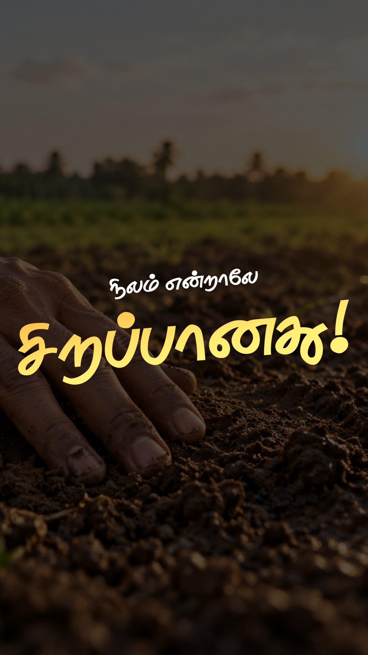 Banner - NEW mobile View.jpg